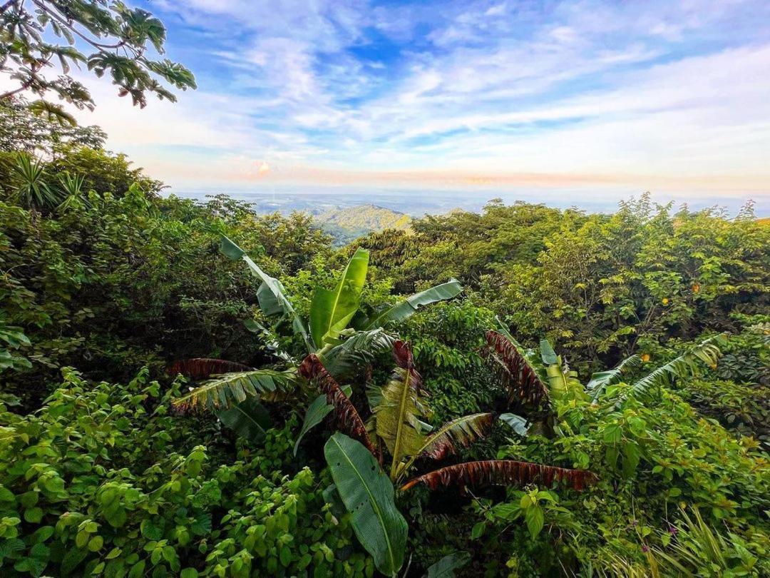 Domos Mirador Romantic Private Honeymoon Glamping Miramar Exterior foto